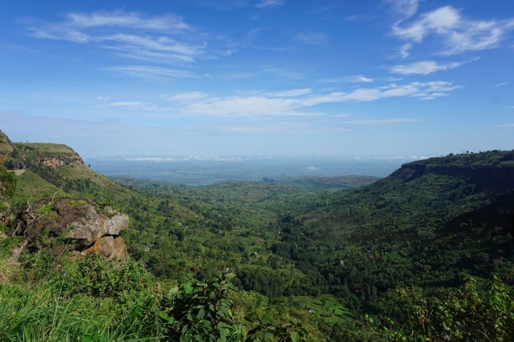 Elgon view