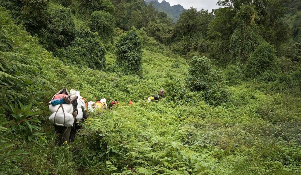 Rwenzori.