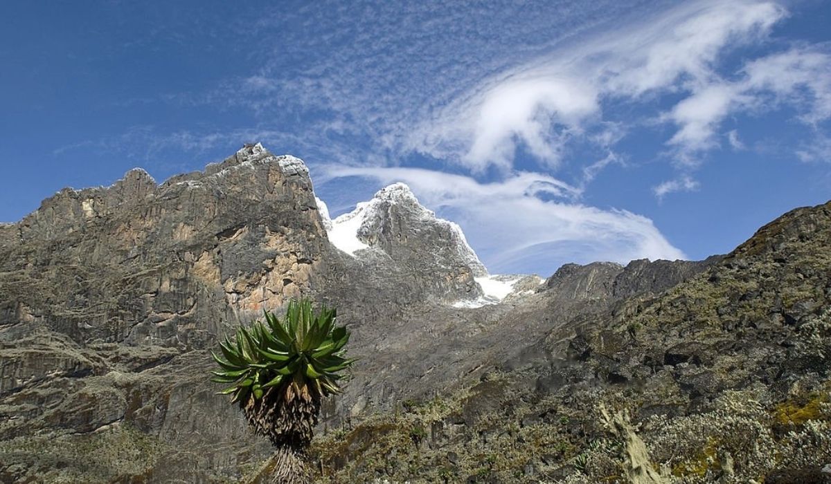 Rwenzori