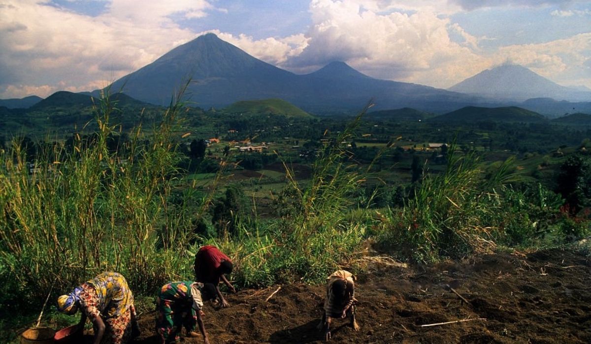 virunga.